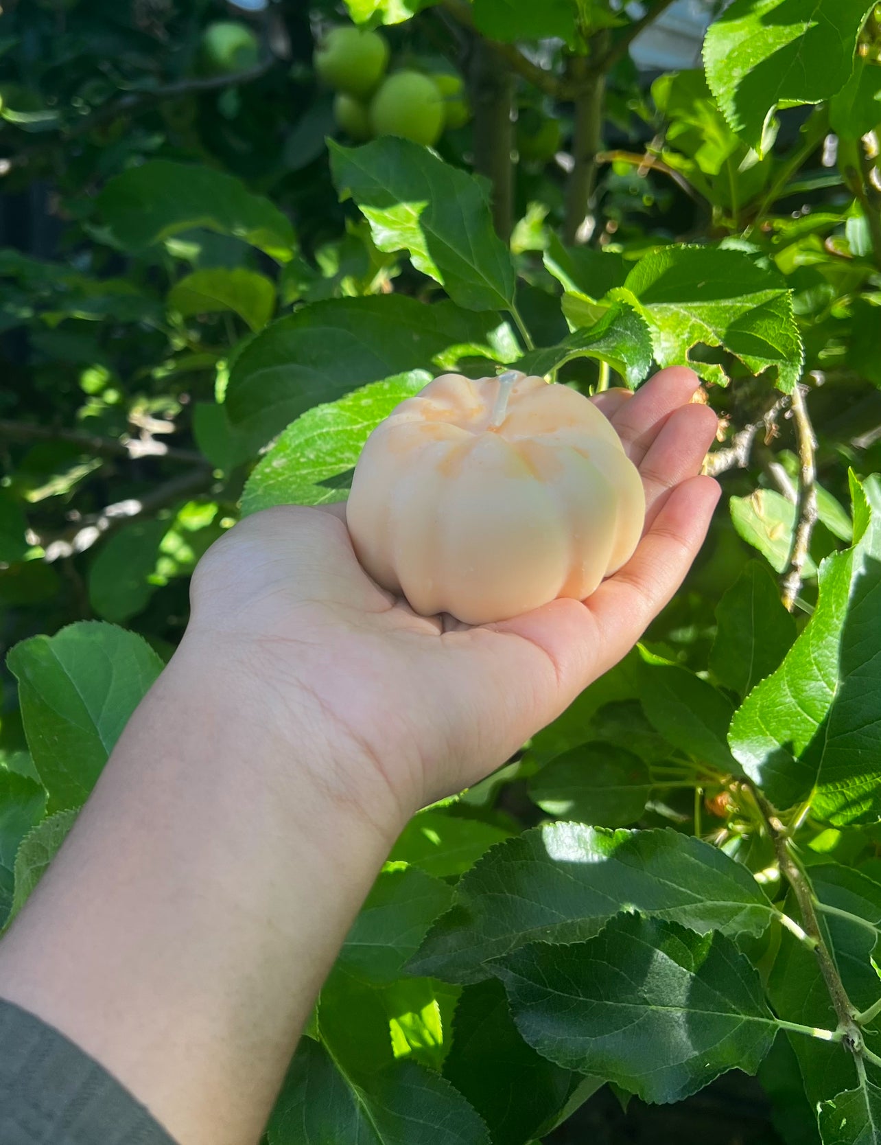 Classic Pumpkin Candle